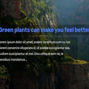 Slider Full Width View
