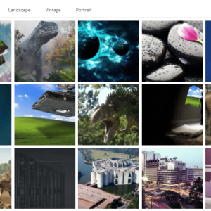 Portfolio Gallery Thumbnail View