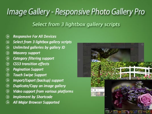 Awesome Responsive Photo Gallery Pro