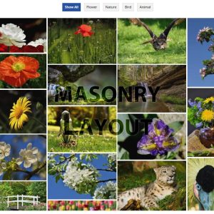 Image Gallery Masonry Layout