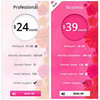 Pricing Table Example 1