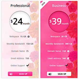 Pricing Table Example 1