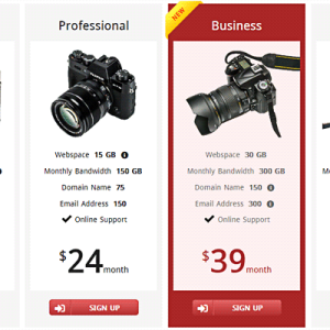 Pricing Table Example 2
