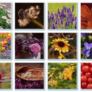 Responsive Photo Gallery Thumbnail VIew