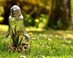 Environmental Protection