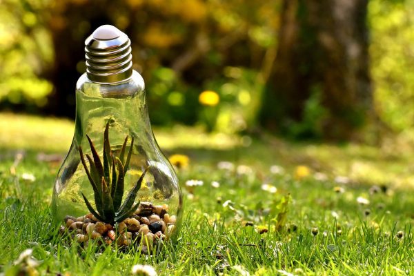 Environmental Protection