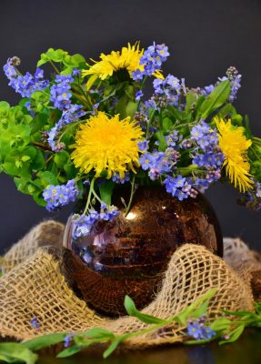 Forget Me Not