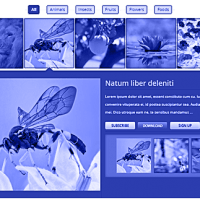portfolio banner