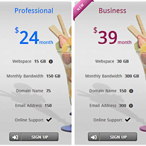 Pricing Table Example 3