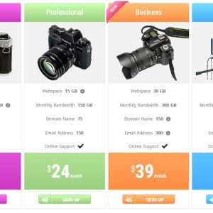 Pricing Table Example 1
