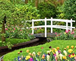 Wooden Bridge