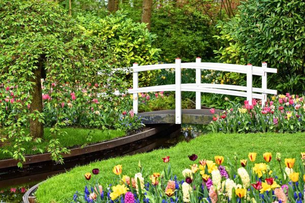 Wooden Bridge