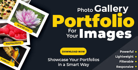 Portfolio Gallery Free