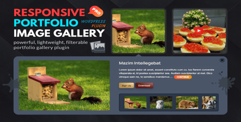 Portfolio Gallery Pro