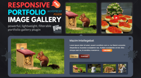 Responsive Portfolio Image Gallery Pro – WordPress