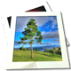 Multi Portfolio Image Gallery