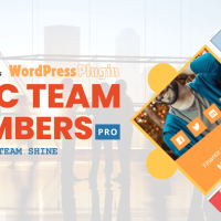RWC Team Members Pro WordPress Plugin - Make Your Team Shine