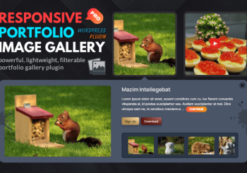 Responsive Portfolio Image Gallery Pro Banner