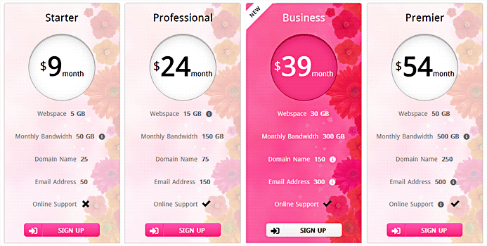Responsive CSS3 Pricing Table - 1